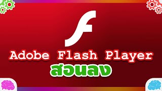 สอนลง Adobe Flash Player คืออะไร ทำอะไรได้ [upl. by Noivax]