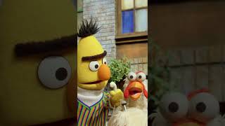 What is Bert listening to sesamestreet [upl. by Hylan]