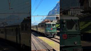 🚂Zeitreise auf Schienen Die Ae 66 11411 zieht den Extrazug über den Gotthard bei AmstegSilenen📯 [upl. by Balsam]