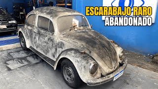 ¡ESTA ES EL ESCARABAJO MÁS FAMOSO DEL MUNDO LAVADO DE COCHE [upl. by Tarfe]