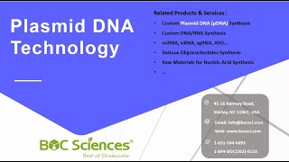 What is a Plasmid  Plasmid DNA Technology  Plasmid DNA pDNA Manufacturing  What is pDNA [upl. by Ennair]