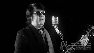 Dave Collisons Roy Orbison Tribute Montage [upl. by Merwyn508]