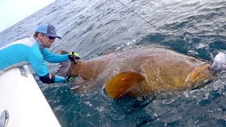 Giant Grouper Handline Fishing Challenge  4K [upl. by Earla]