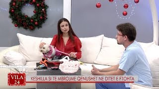 Këshilla si të mbrojmë qenushët në ditët e ftohta [upl. by Eive]