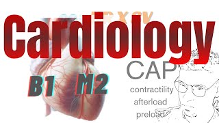 USMLE cardiology  physiology  The CAP system [upl. by Ylram]