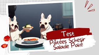 🐺 Pâtées quot Salade Poké quot  Schesir  TEST [upl. by Sierra748]