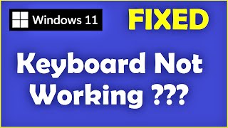 Keyboard Not Working in Windows 11  How to Fix Keyboard Not Detecting Problem [upl. by Daub]