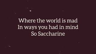 Saccharine Lyric Video [upl. by Brockie]