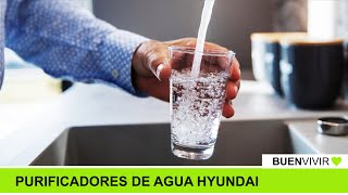 PURIFICADORES DE AGUA HYUNDAI  Ing Alejandro Quincke  BUENVIVIR💚 310724 Canal 4 [upl. by Andriana434]