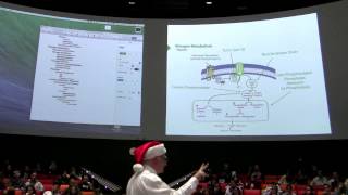 Glycogen Metabolism III  Kevin Aherns BB 450 Lecture 28 2016 [upl. by Bobine]