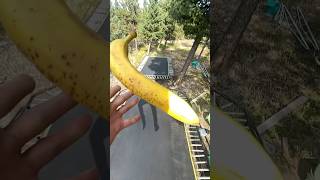 MOON BANANA fitness nature colorado trampolineparkourhealth diy climbing hiking [upl. by Amargo56]