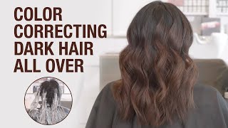 How to Lighten PreColored Hair AllOver  Dimensional Dark Chocolate Hair Tutorial  Kenra Color [upl. by Refitsirhc612]