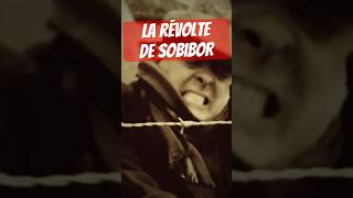 Le soulèvement de Sobibor ww2 [upl. by Bobinette]