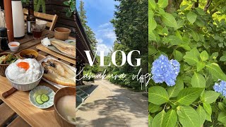 鎌倉vlog：大好きな場所にお出かけした日☀️ [upl. by Analim456]