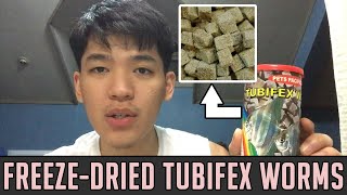 How to Feed FreezeDried Tubifex Worms to your Fish  Pets Pacifica Unboxing amp Review [upl. by Remo]