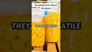 5 Amazing Facts About Kumquat zapetv fruit facts [upl. by Sayette]