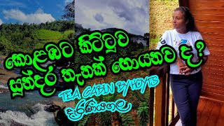 Tea Cabin by Hoyts  Deraniyagala  කොළඹට කිට්ටුවෙන් නිවාඩුවට යන්න දැරණියගල සුන්දර තැනක් [upl. by Hazlett]