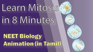 Tamil NEET Biology Animation Mitosis  Cell cycle and cell division [upl. by Ingaberg]