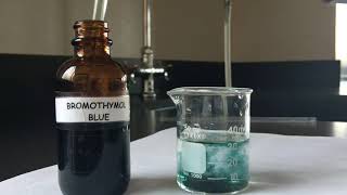 ღღ Bromothymol Blue Respiratory Physiology Experiment ღღ [upl. by Anoek]