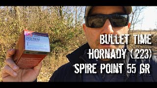 Bullet Time  Hornady Spire Point 55 gr 223 Chronographed [upl. by Arihsay307]