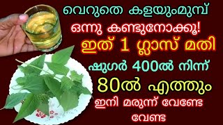 അറിയാതെ പോവല്ലേ ഇനി മരുന്നു കഴിക്കേണ്ട വെറും രണ്ടില മതി ഷുഗർ പ്രഷർ കൊളസ്ട്രോൾ ഇനി അടുക്കില്ല Uses [upl. by Ezarras]