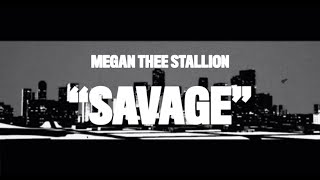 Megan Thee Stallion  Savage Animated Video [upl. by Franciska288]