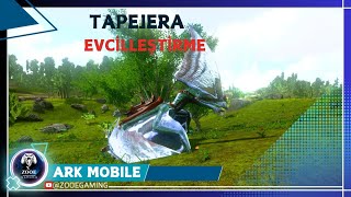 TAPEJERA EVCİLLEŞTİRMEARK MOBILE BÖLÜM 40 [upl. by Eerrehs]