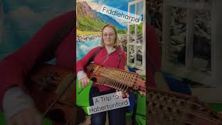 A Trip to Habertonford on the fiddleharpa shorts [upl. by Anna-Diane]