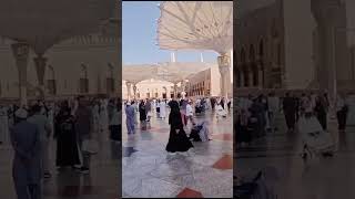 jane Rehmat pe lakhon Madina pak live video Rana tv 731 Madina pak main ghomte howe [upl. by Angeline]