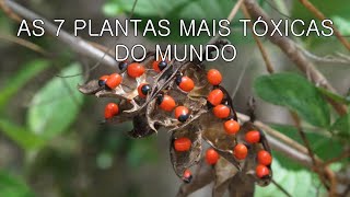 AS 7 PLANTAS MAIS TÓXICAS DO MUNDO 2016 HD [upl. by Irrek649]