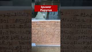 Ipuwer Papyrus amp 10 Plagues of Egypt museum short coin museumofthebible bible [upl. by Nuahsed215]