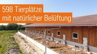 Maststall mit Auslauf für Schweine in Biohaltung  Im Emsland [upl. by Kay]