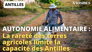 Autonomie alimentaire aux Antilles  10 choses à savoir sur le foncier Agricole [upl. by Akimad]