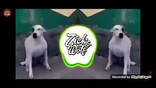 chillido de perro remix recopilacion de zickmusic [upl. by Kendyl]