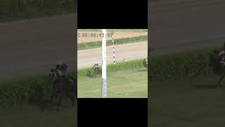 Horse Race Winner Phantom Oct 2024 horseracing racing lrc horserace sports [upl. by Aiym]