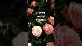 grocery market flowers flora flowerseason roses pricklytree grocerymarket floral whiterose [upl. by Blackmun]