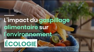 Limpact du gaspillage alimentaire sur l’environnement [upl. by Yerot862]