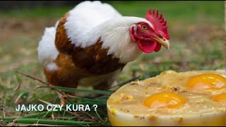 🍳🐓 Co lepsze JAJKO czy KURCZAK [upl. by Atirak]