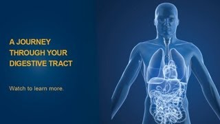 The Digestive Process  University of Michigan Health System [upl. by Ruckman]