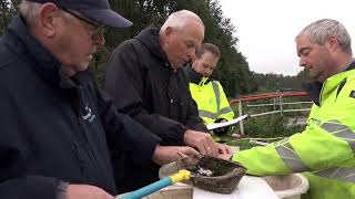 Herfstbloeiers in waterwingebied AnnenBreevenen  ROEG uitzending [upl. by Berky216]