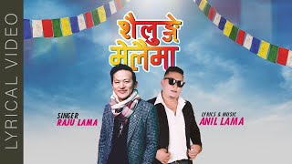 SAILUNG MELAIMA  RAJU LAMA  LYRICAL VIDEO [upl. by Artsa]