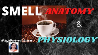 079Anatomy amp Physiology of SmellOlfaction Part 12 anatomylectures physiology [upl. by Sapienza]