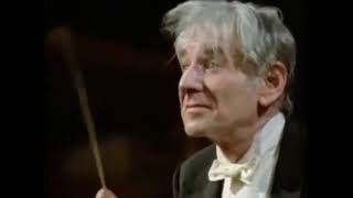 Two giants – one piece Brüggen and Bernstein conduct Beethoven Eroica first movement [upl. by Ottillia]