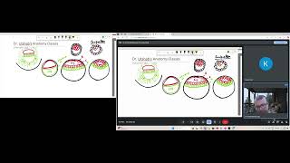 Embryology Simplified Notochord Formation Explained [upl. by Cooperman782]