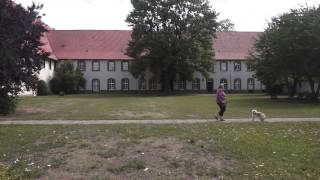 Kloster Wöltingerode  Harz [upl. by Gokey]