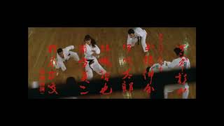 Sister Street Fighter Etsuko Shihomi Karate Opening Scene [upl. by Wilhide]