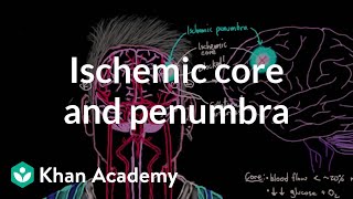 Ischemic core and penumbra  Circulatory System and Disease  NCLEXRN  Khan Academy [upl. by Jackelyn]