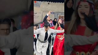 halparke kurdishdance dance [upl. by Lilly]