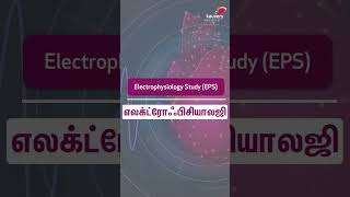 இருதய படபடப்பை நிரந்தரமாக குணப்படுத்த முடியுமா  Can Heart Palpitations be Cured Permanently [upl. by Oiceladni]