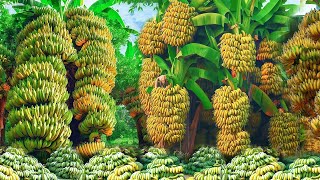 🌿New Best Inventions Synthesize successful banana tree breeding by many methods [upl. by Ytsud193]